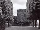 Landscape No. 1, - Parc De Sceaux, France  [9/75]