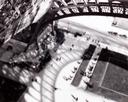 Paris, The Eiffel Tower
