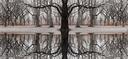 Christo's Gates - Central Park