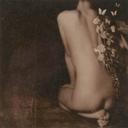 Butterflies, Tell Me