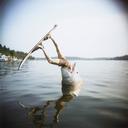 Water Skier And Shark