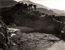 China Cove, Point Lobos