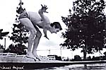 James Hajicek  [1947 -    ]