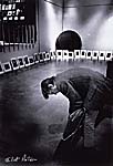 Eliot Porter  [1901 - 1990]