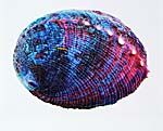 Abalone
